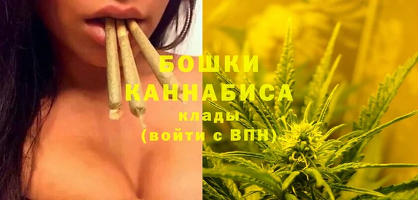 PSILOCYBIN Бугульма